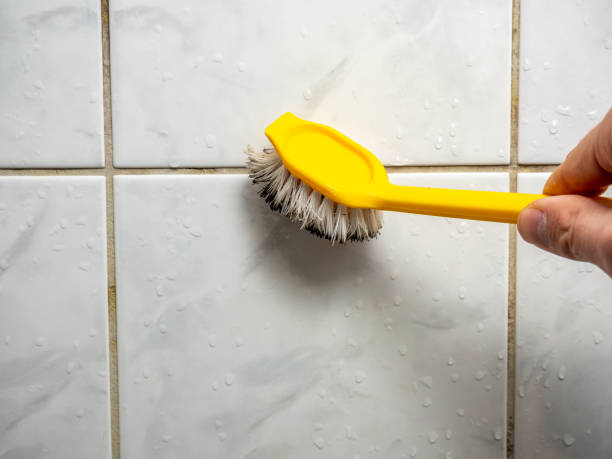 Best Mold Cleaning Services  in Yreka, CA