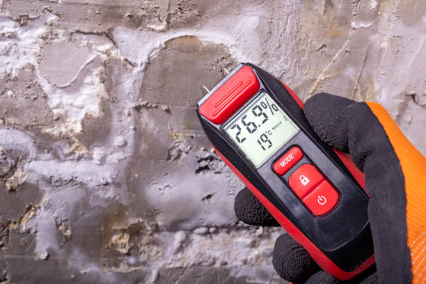 Best Toxic Mold Removal  in Yreka, CA