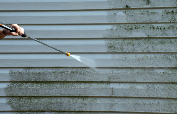 Best Residential Mold Removal  in Yreka, CA