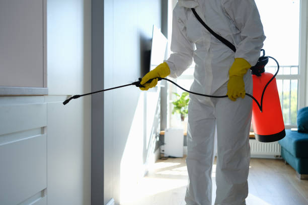 Best Mold Inspection  in Yreka, CA