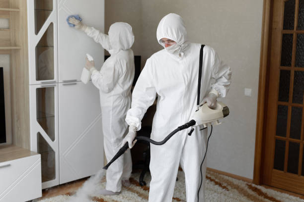 Best Commercial Mold Removal  in Yreka, CA