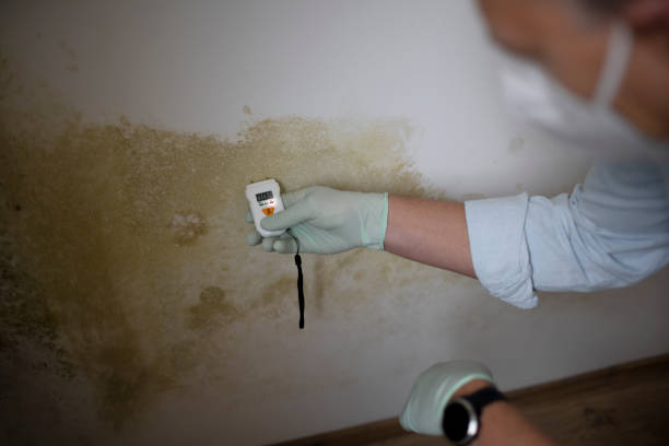 Best Emergency Mold Removal  in Yreka, CA