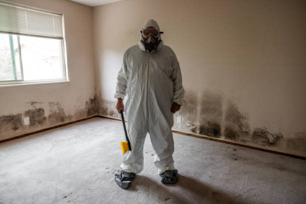 Best Crawl Space Mold Removal  in Yreka, CA